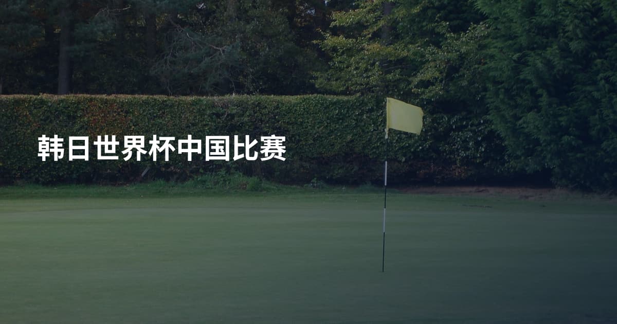 韩日世界杯中国比赛