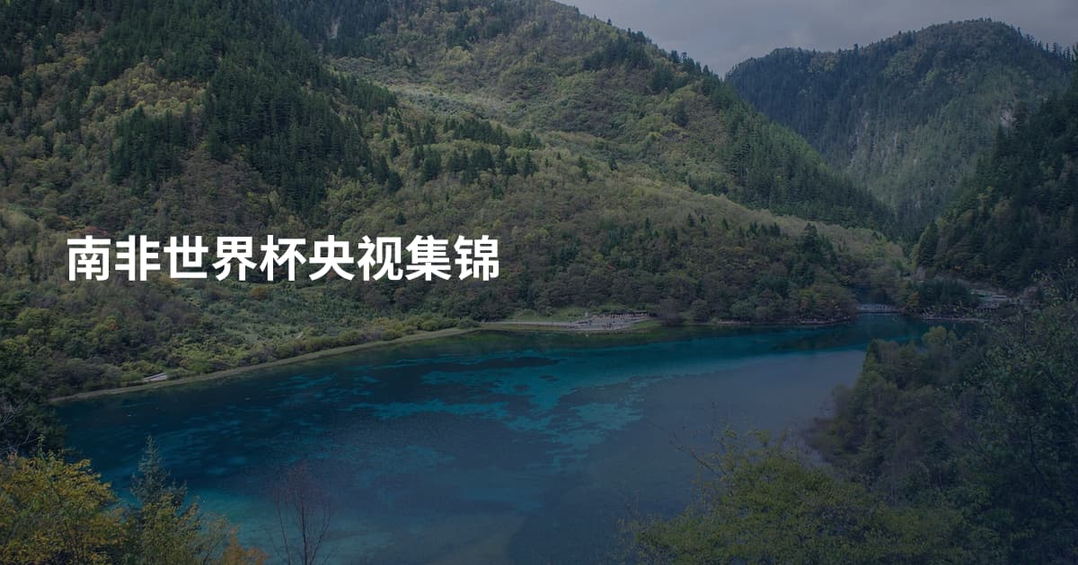 南非世界杯央视集锦