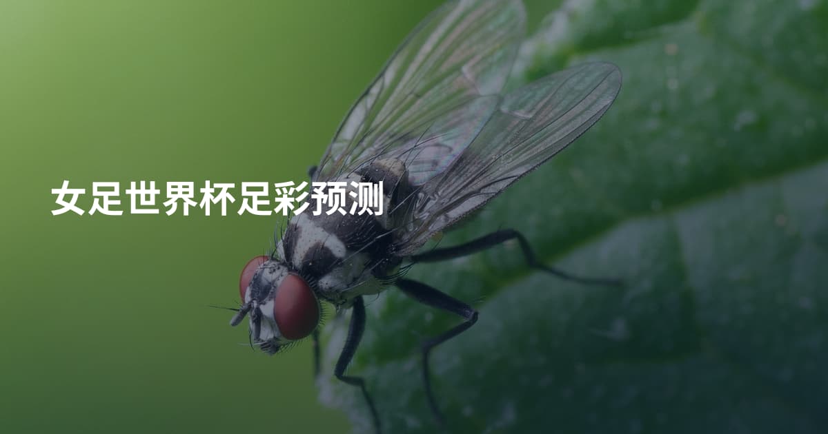 女足世界杯足彩预测