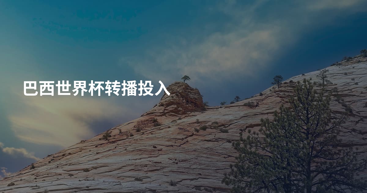 巴西世界杯转播投入