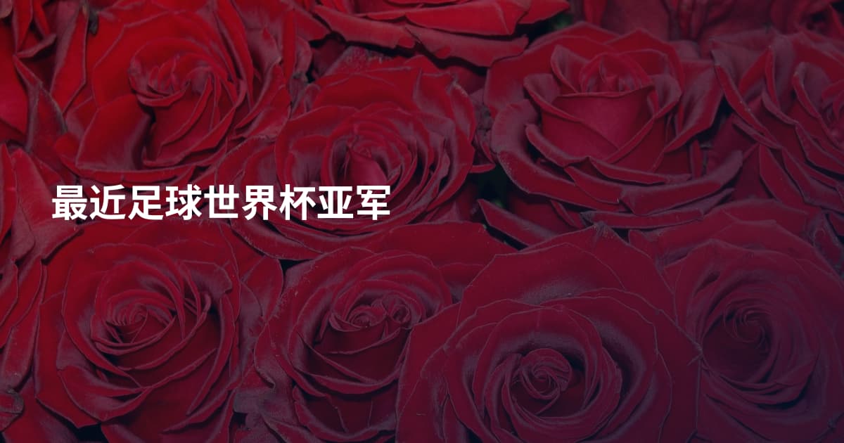 最近足球世界杯亚军