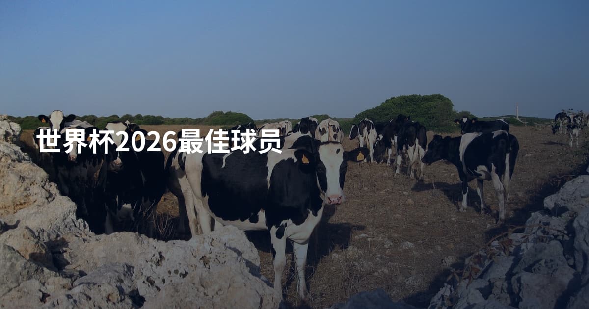 世界杯2026最佳球员