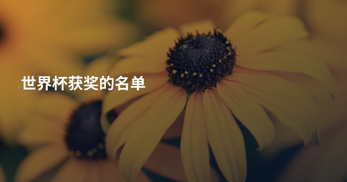 世界杯获奖的名单