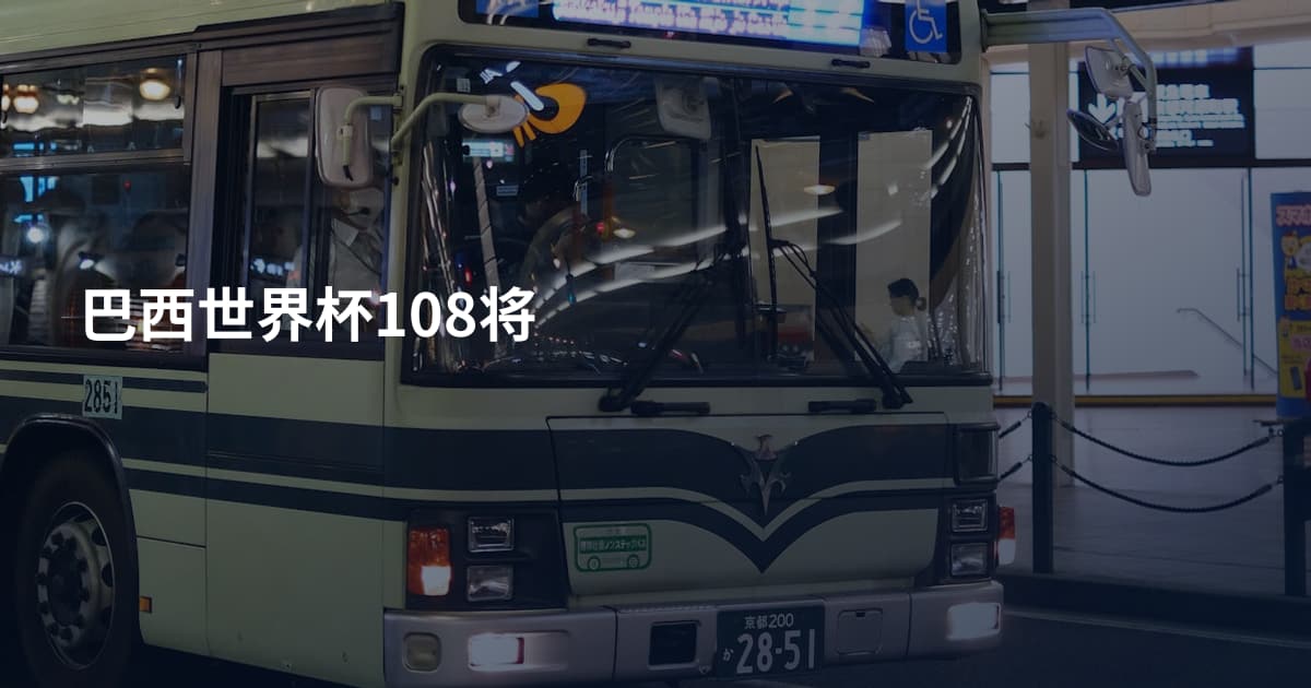 巴西世界杯108将