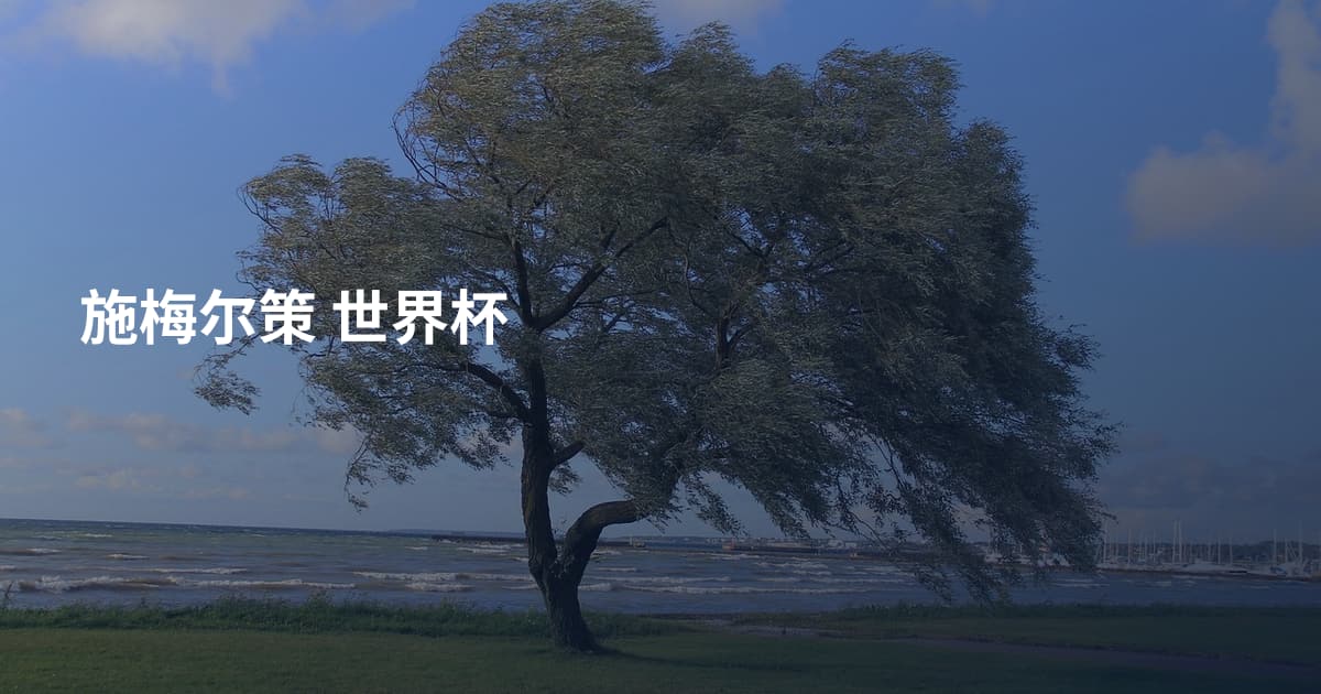 施梅尔策 世界杯