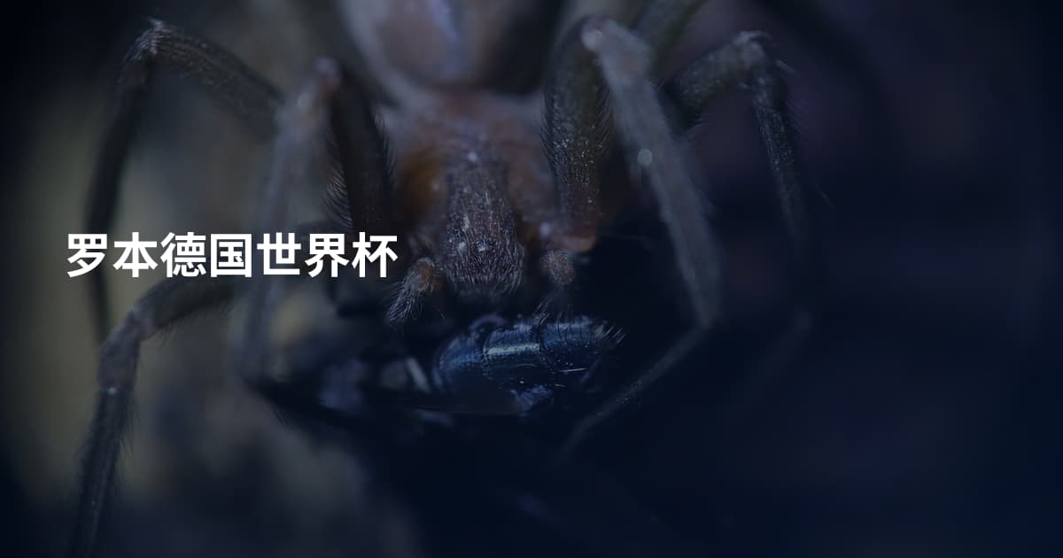 罗本德国世界杯