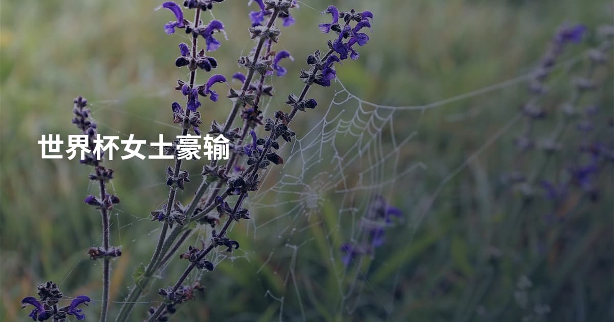 世界杯女土豪输