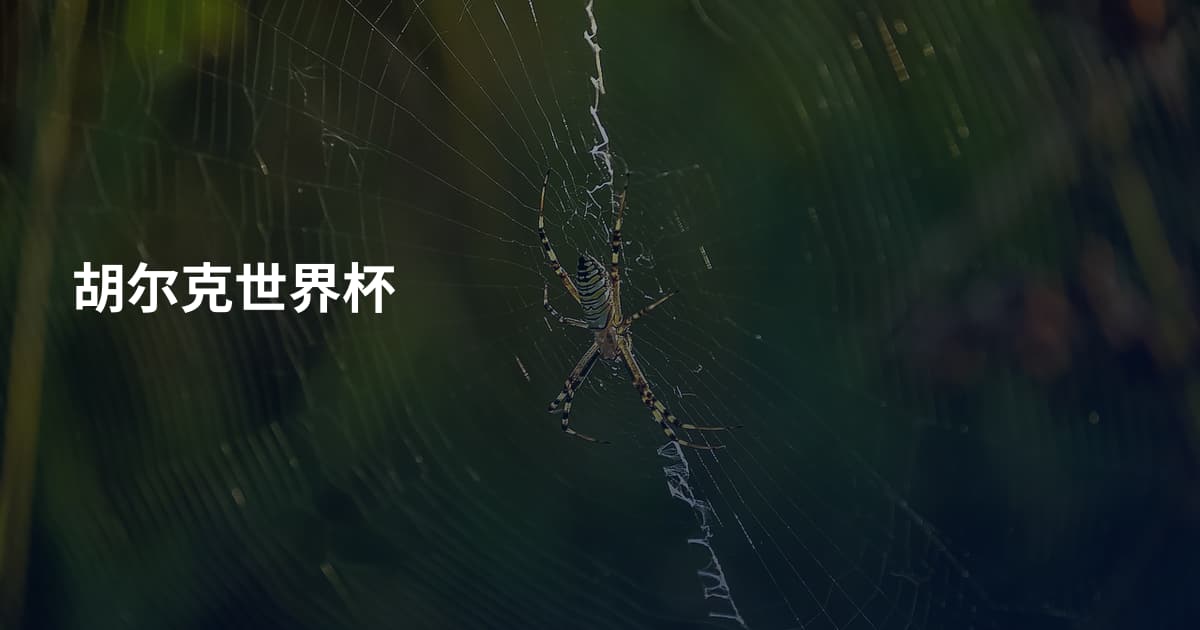 胡尔克世界杯