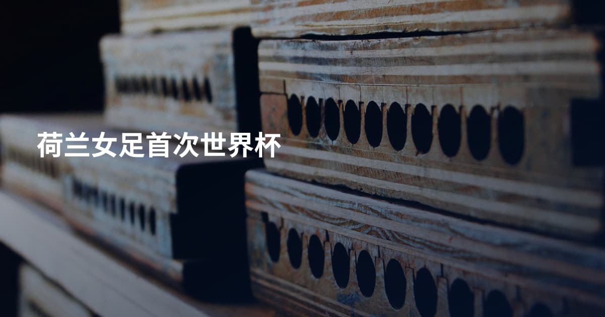 荷兰女足首次世界杯