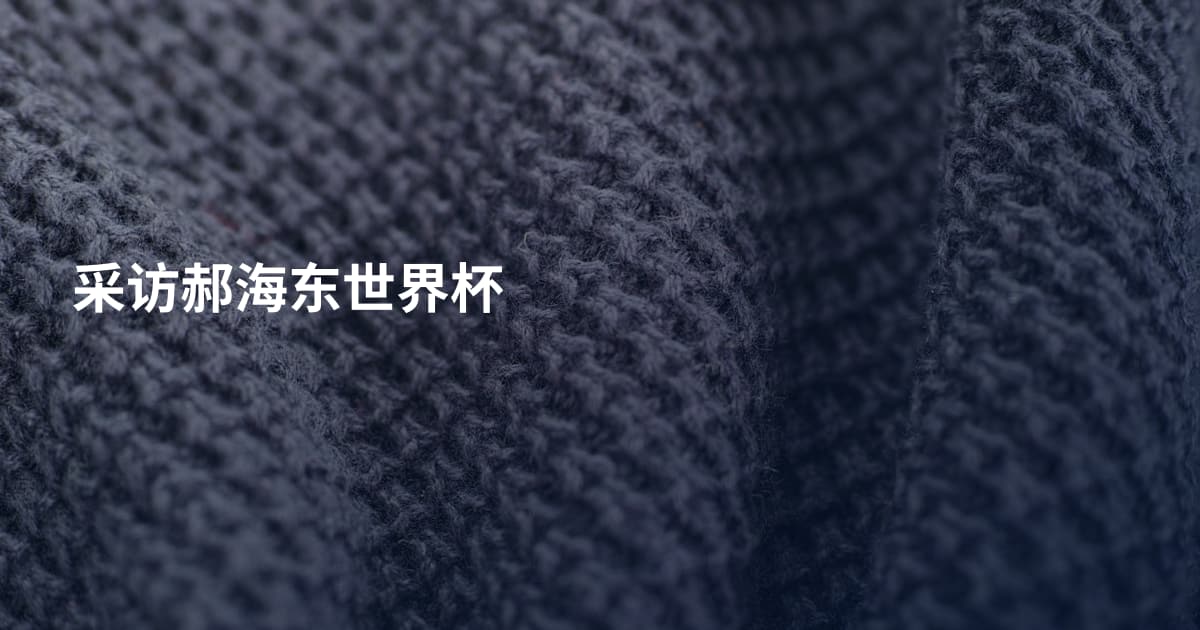 采访郝海东世界杯