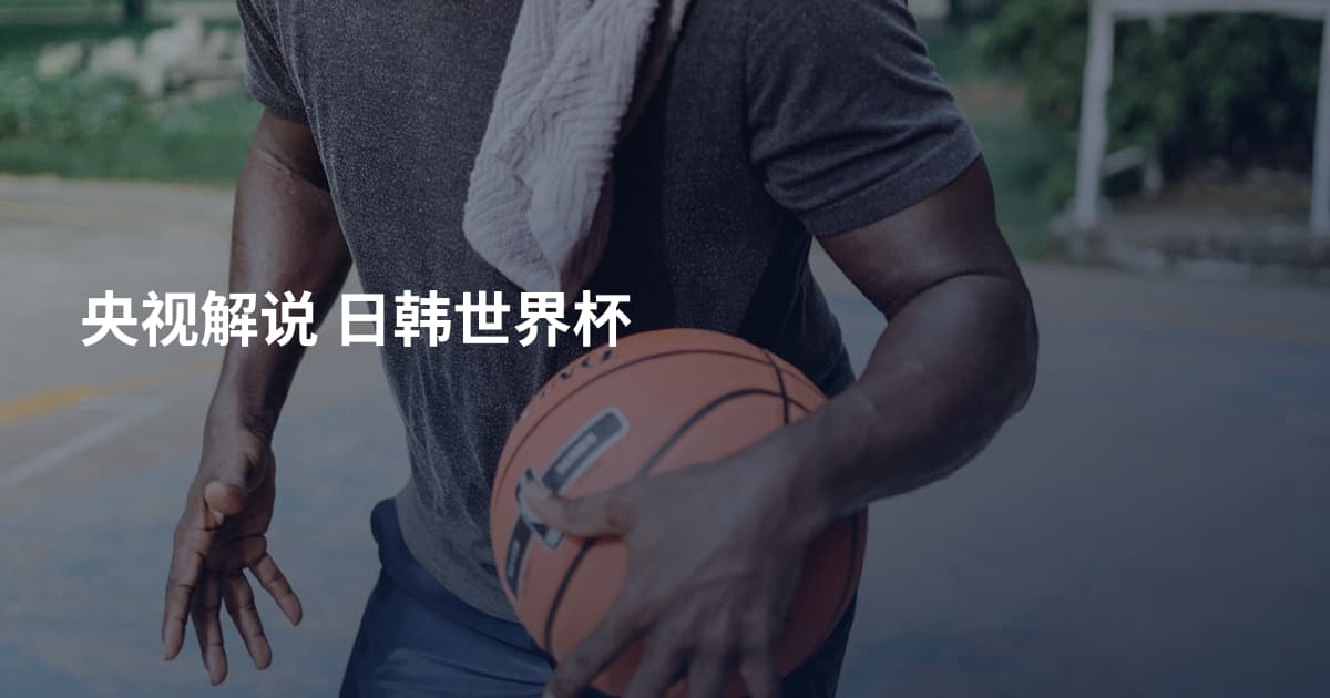 央视解说 日韩世界杯