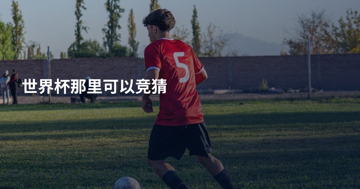 世界杯那里可以竞猜