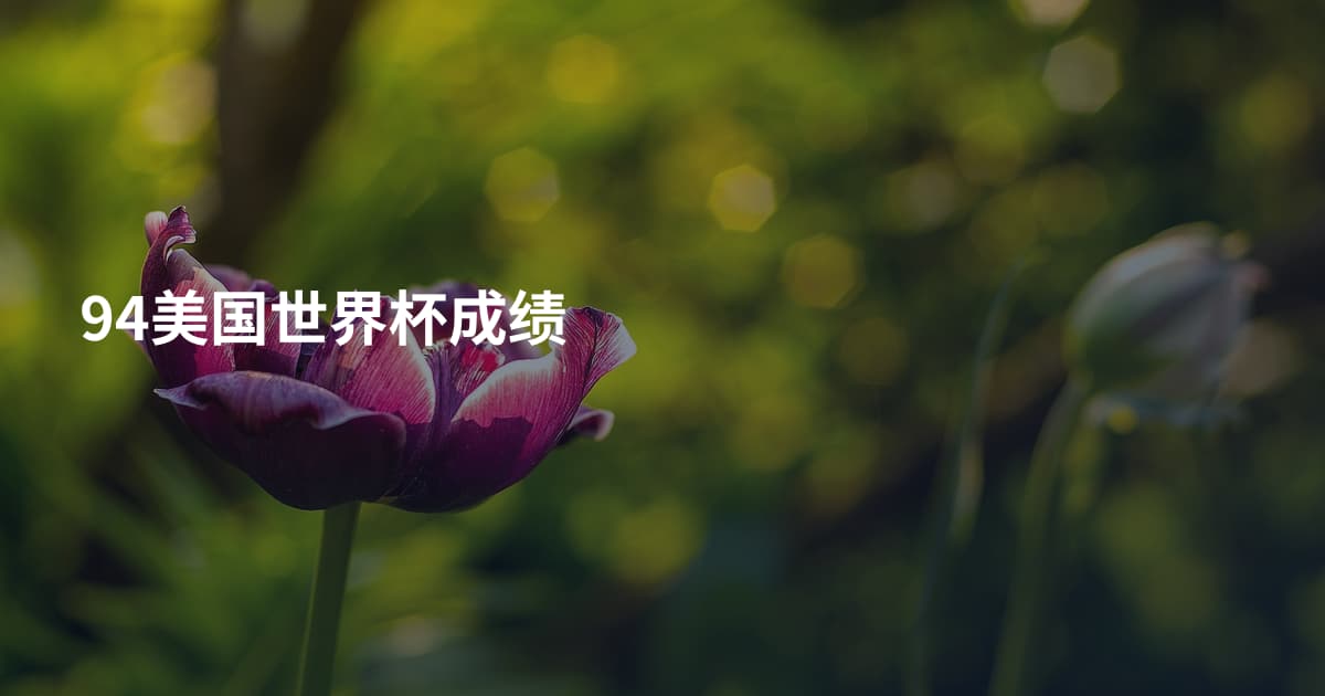 94美国世界杯成绩