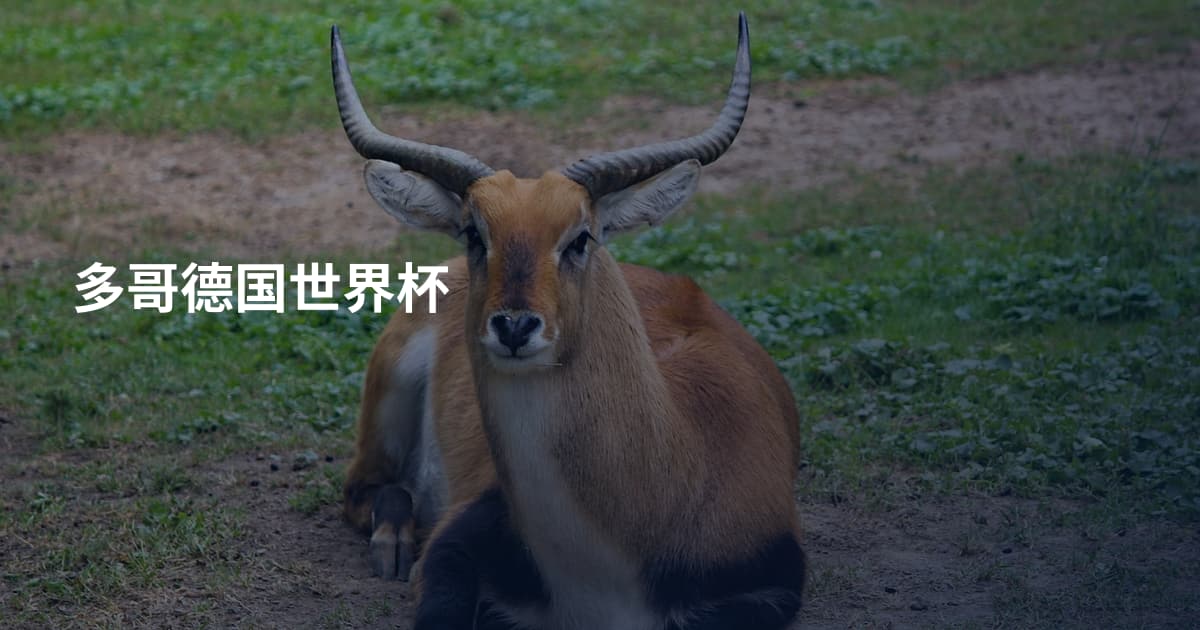 多哥德国世界杯