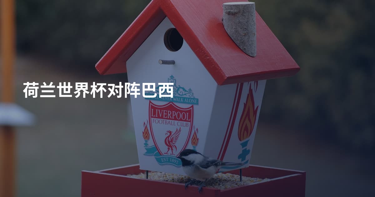 荷兰世界杯对阵巴西
