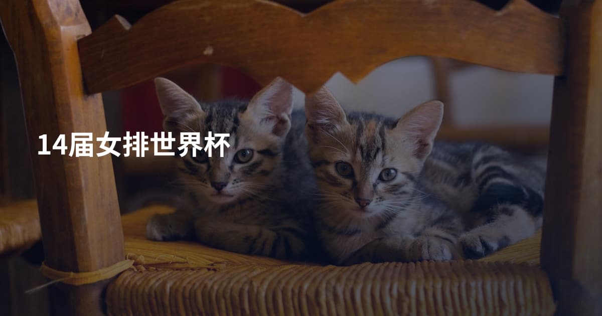 14届女排世界杯