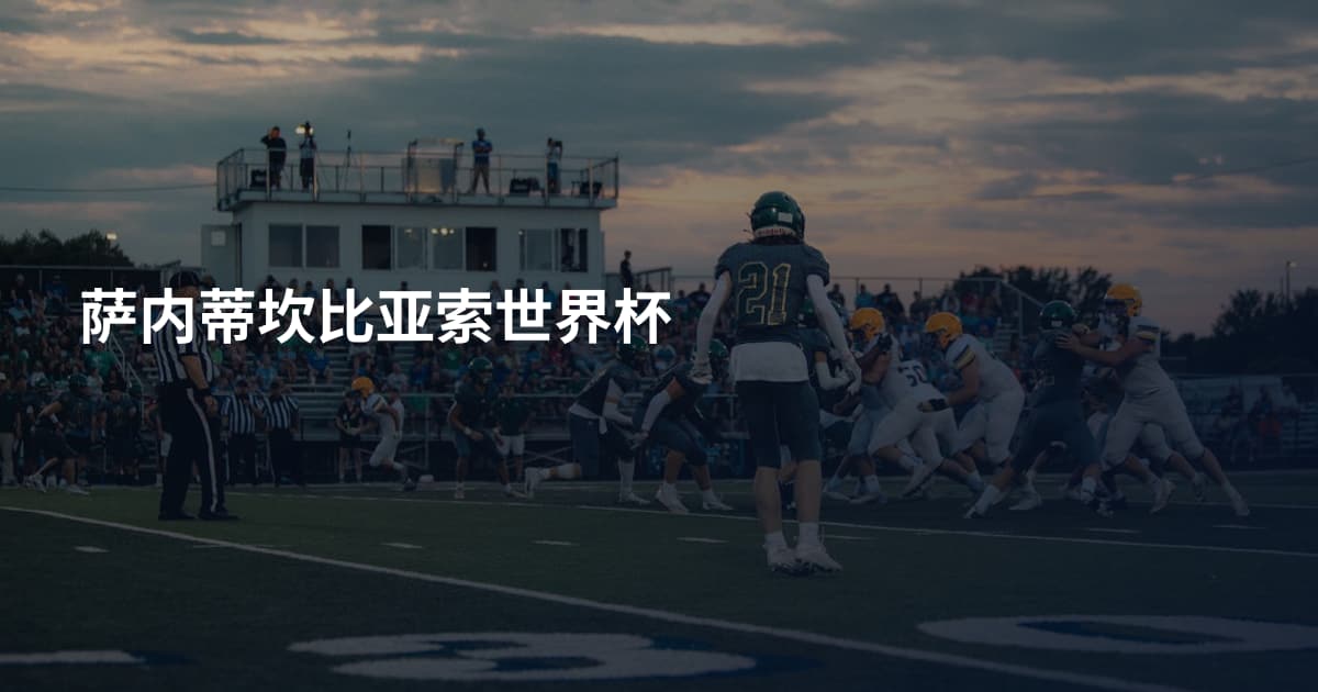 萨内蒂坎比亚索世界杯