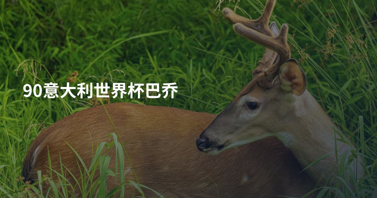 90意大利世界杯巴乔