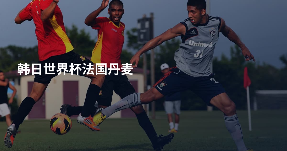 韩日世界杯法国丹麦