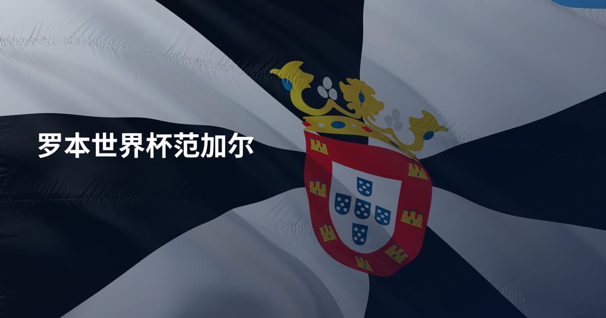 罗本世界杯范加尔