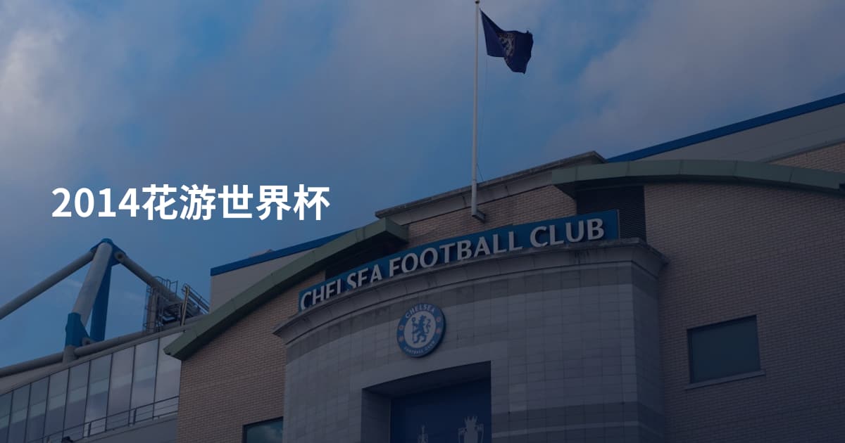 2014花游世界杯