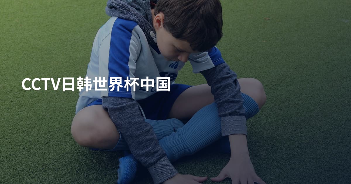 CCTV日韩世界杯中国