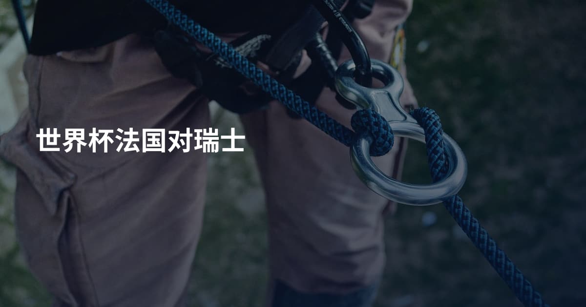 世界杯法国对瑞士