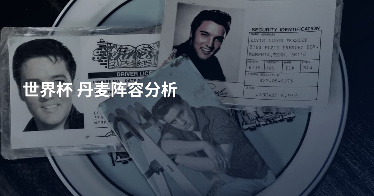 世界杯 丹麦阵容分析
