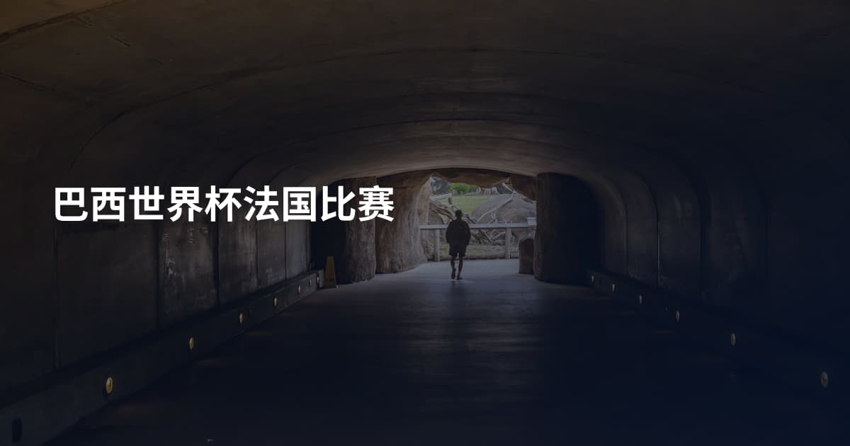 巴西世界杯法国比赛