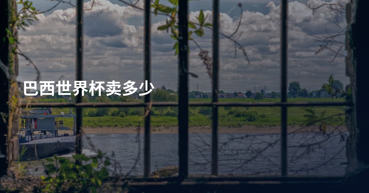 巴西世界杯卖多少