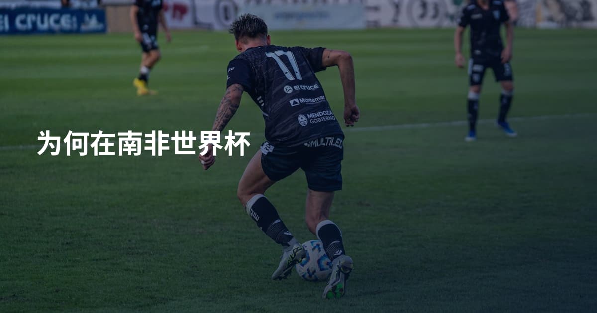 为何在南非世界杯