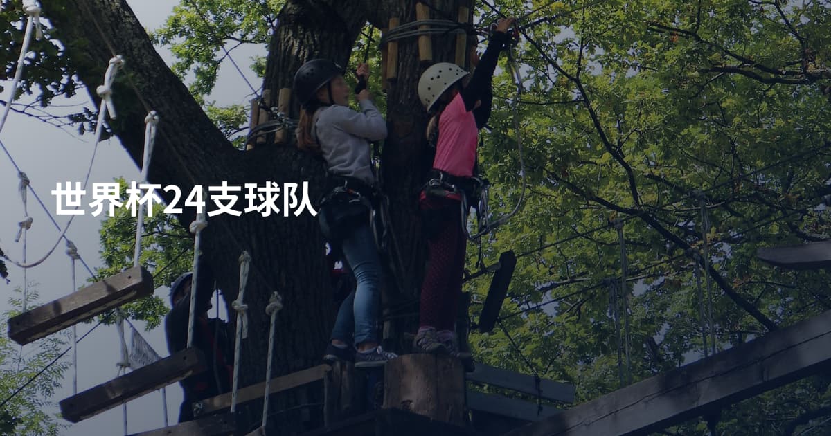 世界杯24支球队