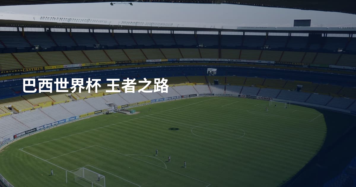 巴西世界杯 王者之路