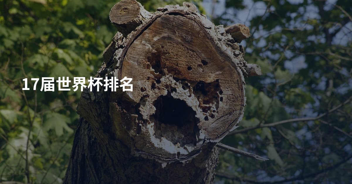 17届世界杯排名