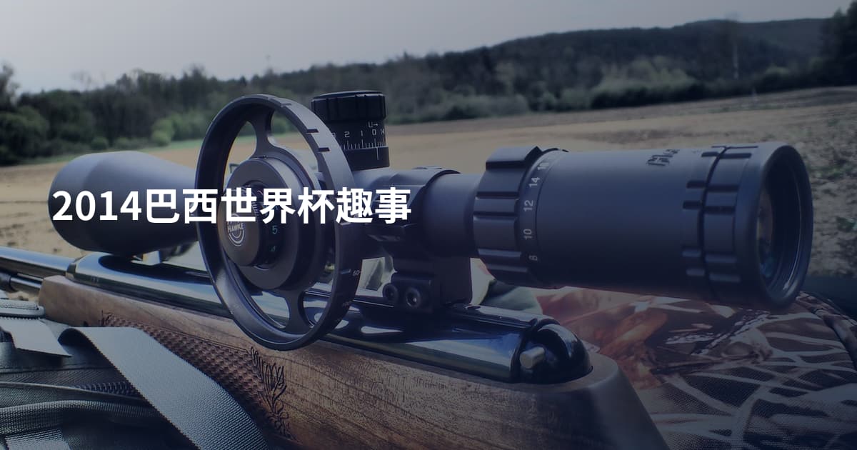 2014巴西世界杯趣事