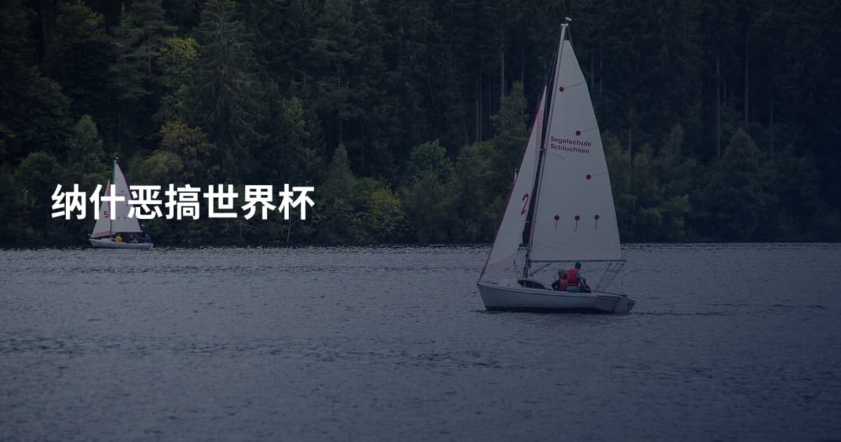 纳什恶搞世界杯