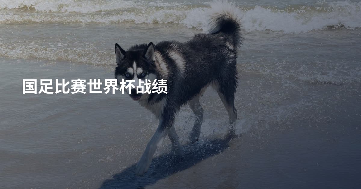 国足比赛世界杯战绩
