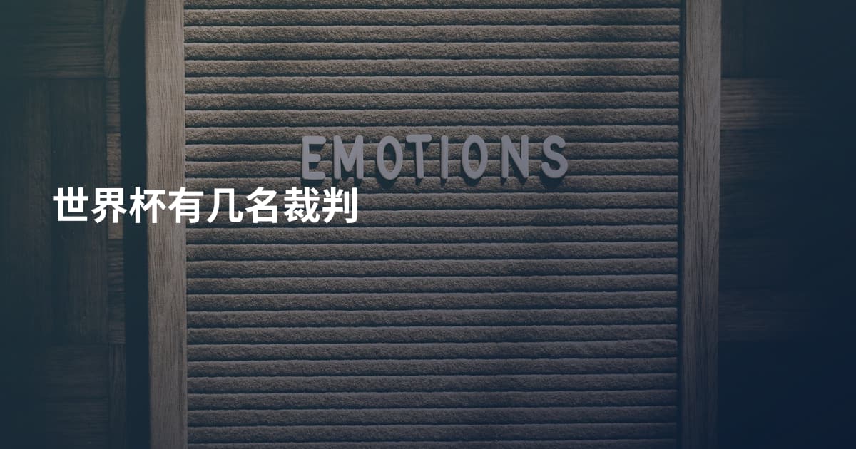 世界杯有几名裁判