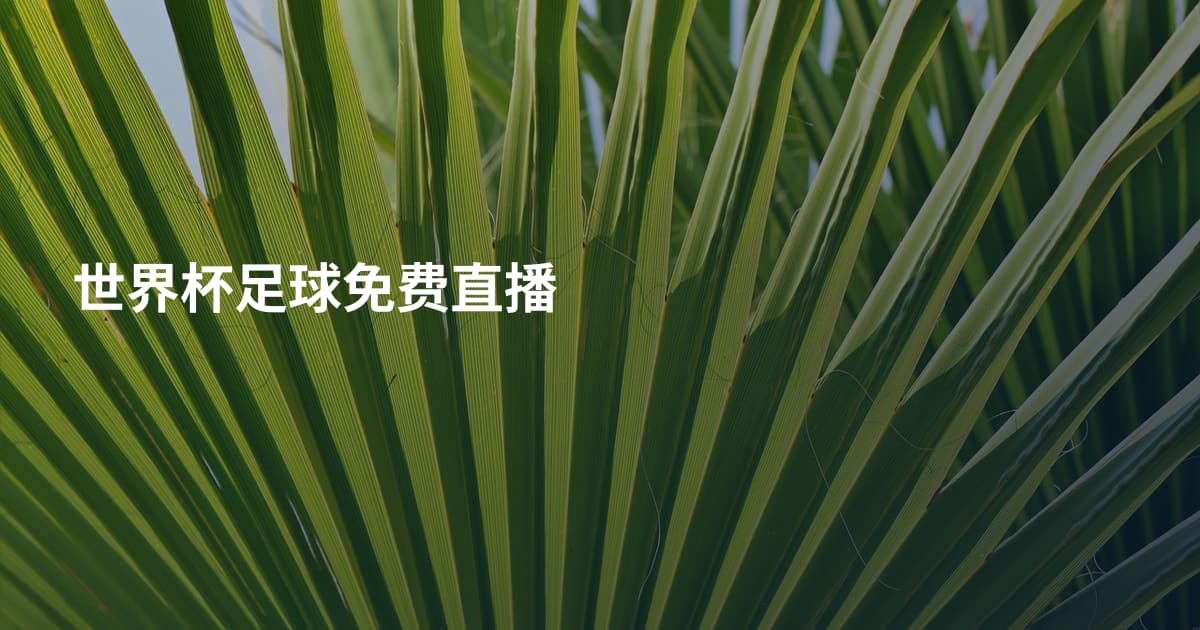 世界杯足球免费直播