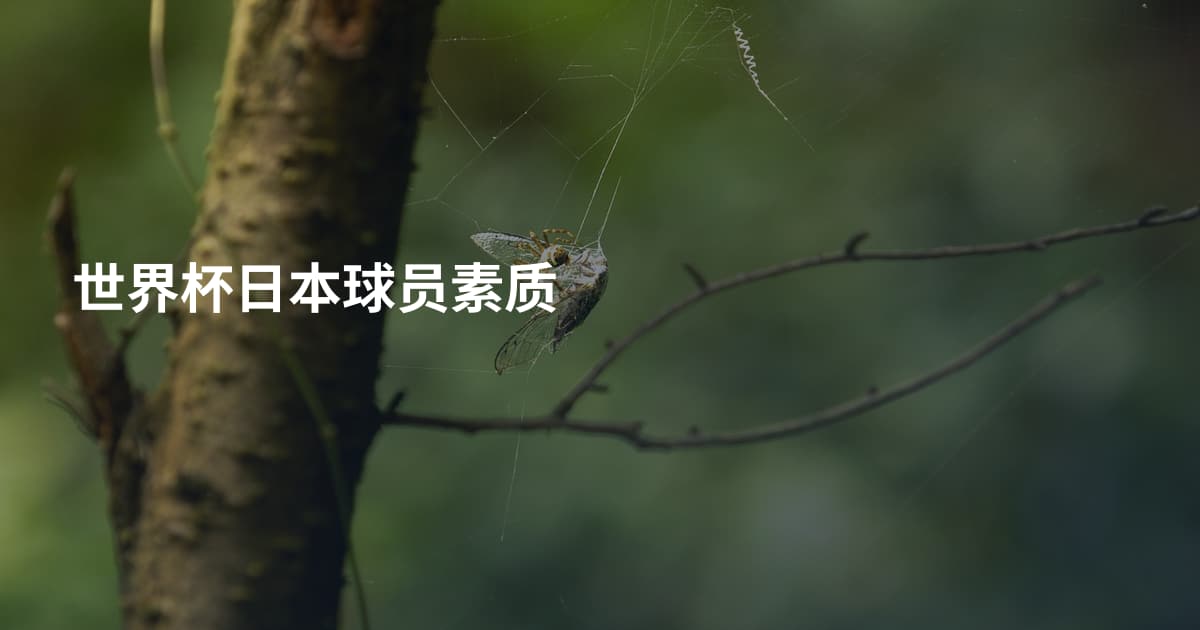 世界杯日本球员素质