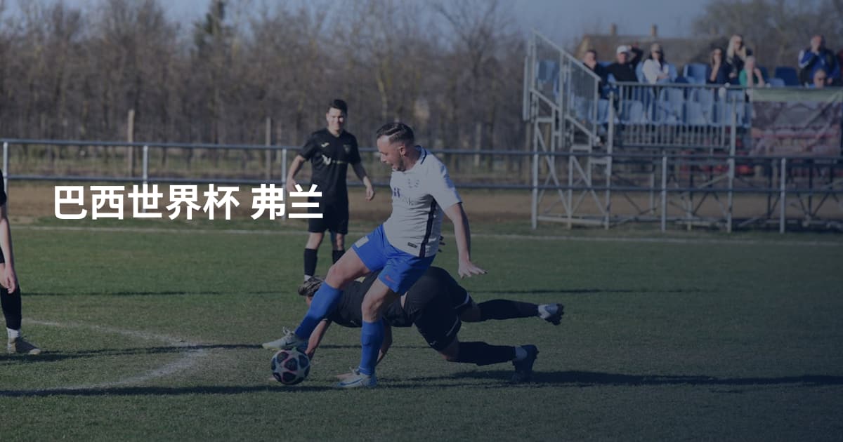 巴西世界杯 弗兰