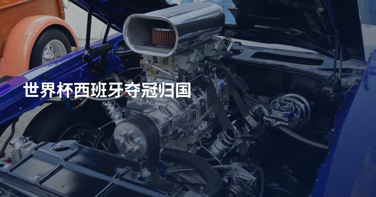 世界杯西班牙夺冠归国