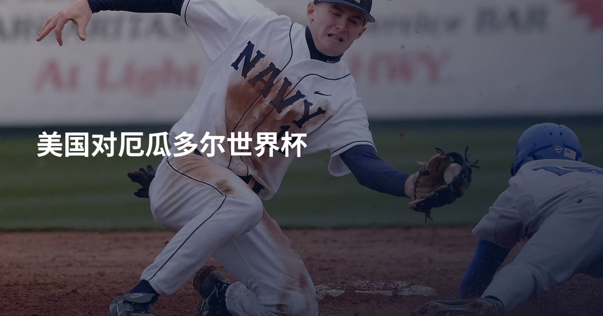 美国对厄瓜多尔世界杯