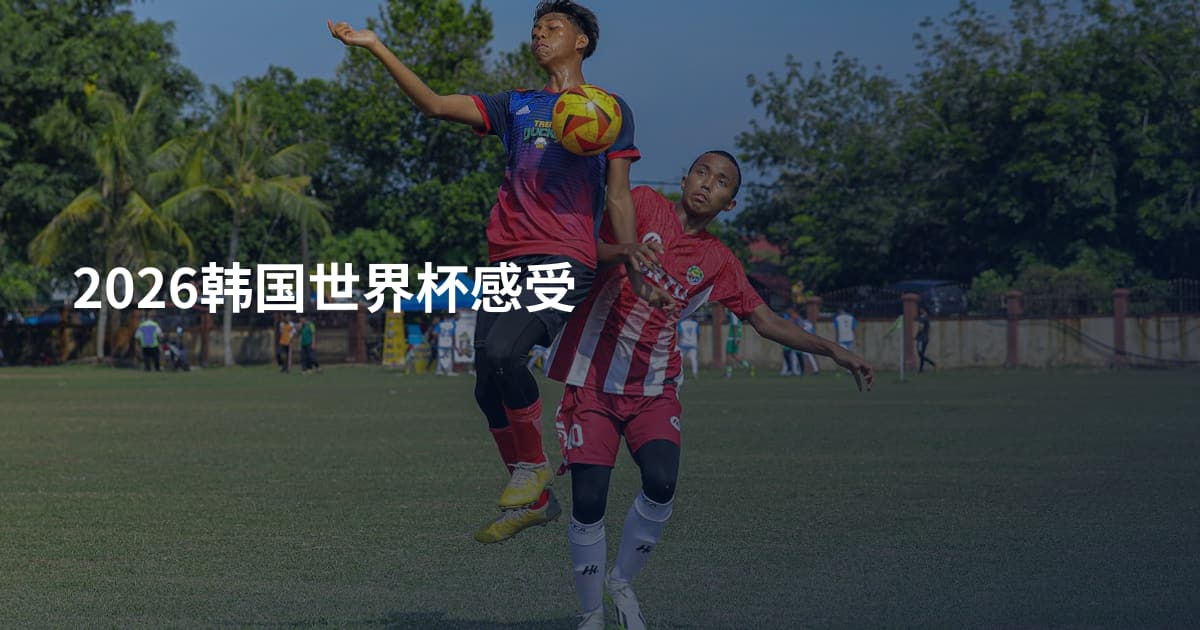2026韩国世界杯感受