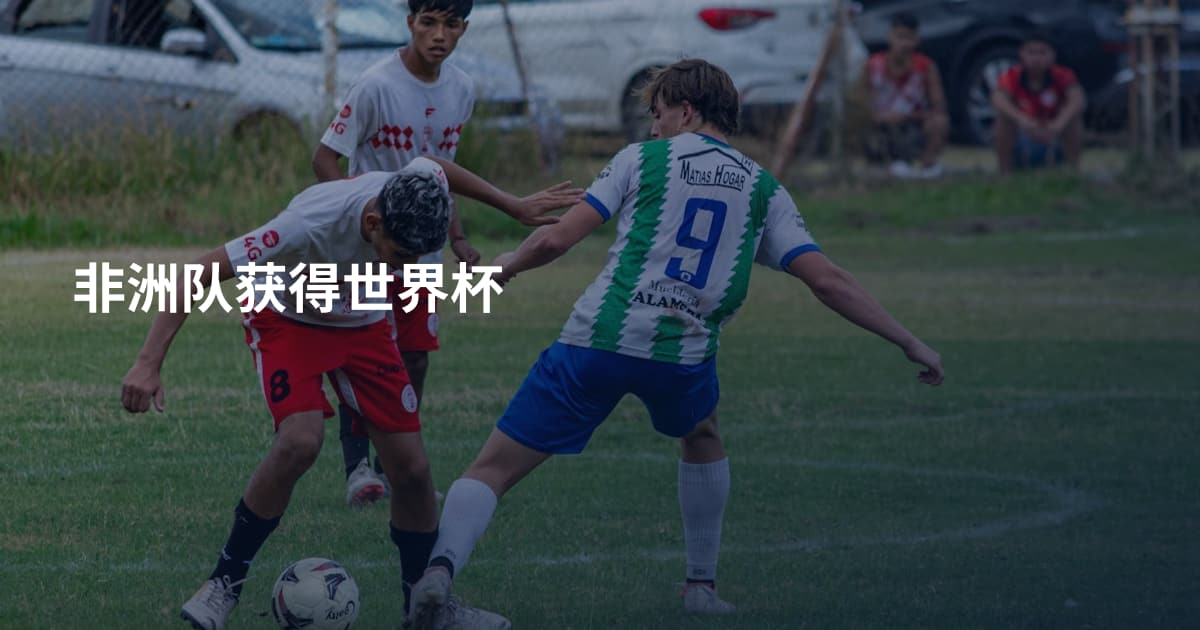 非洲队获得世界杯
