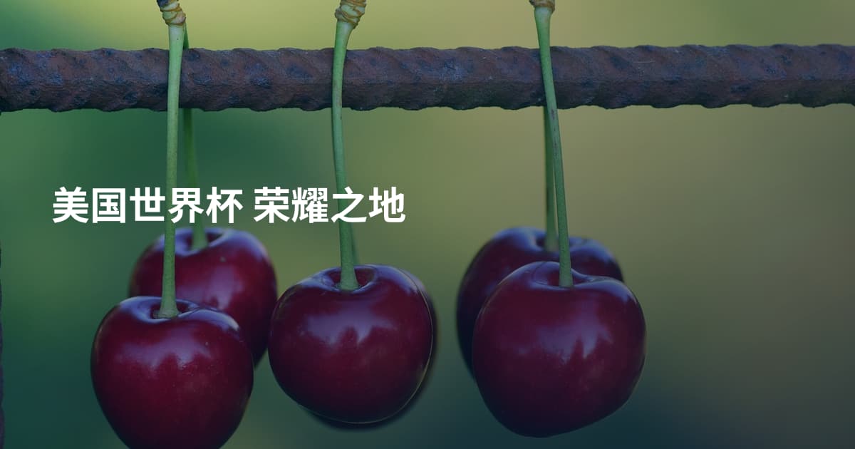 美国世界杯 荣耀之地