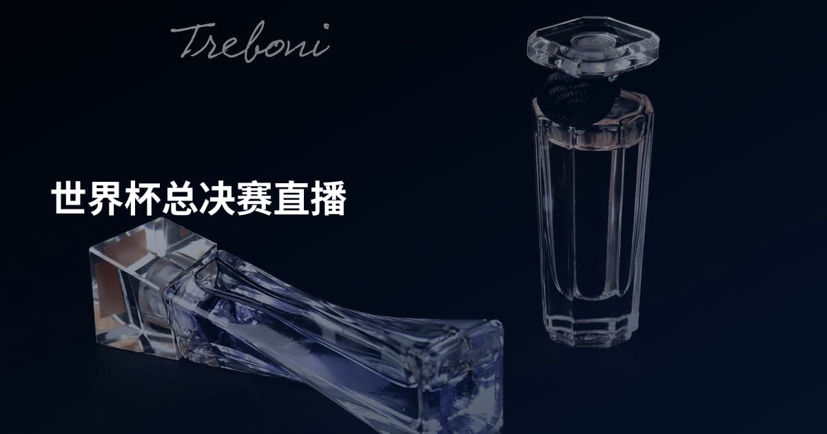 世界杯总决赛直播