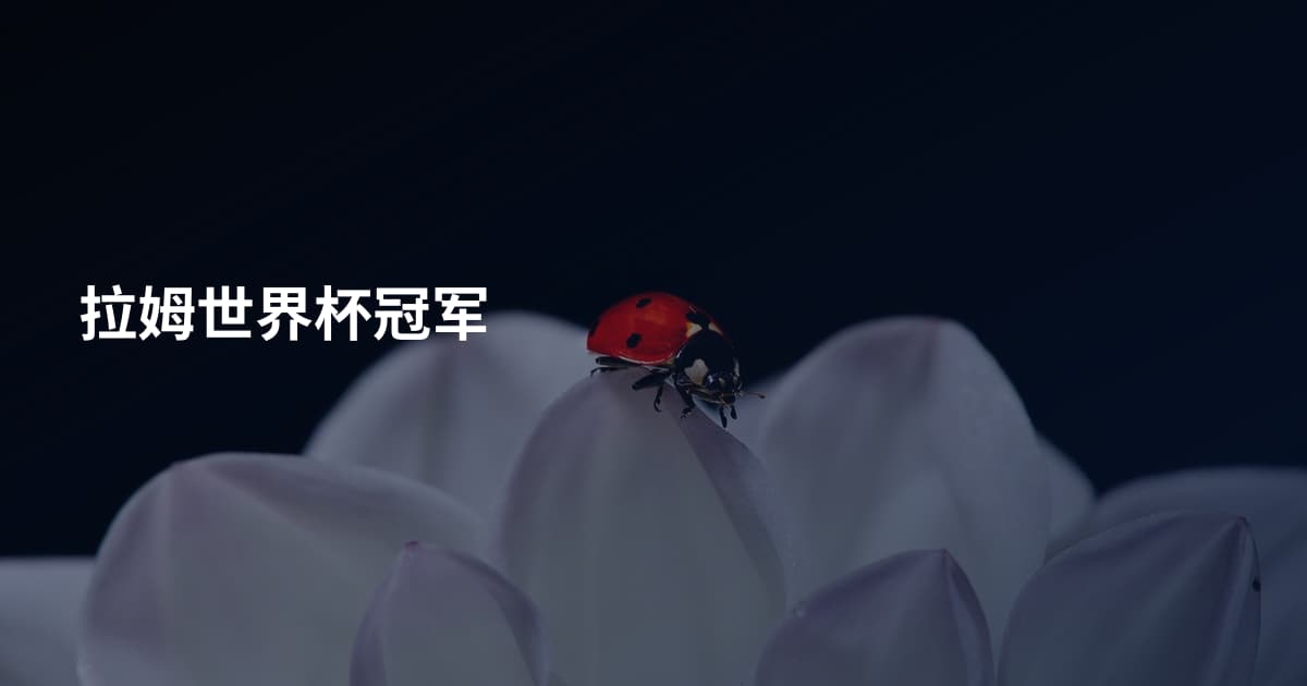 拉姆世界杯冠军