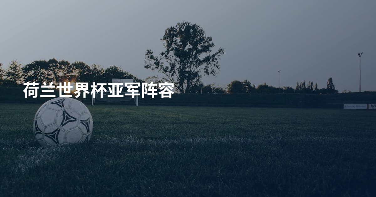 荷兰世界杯亚军阵容
