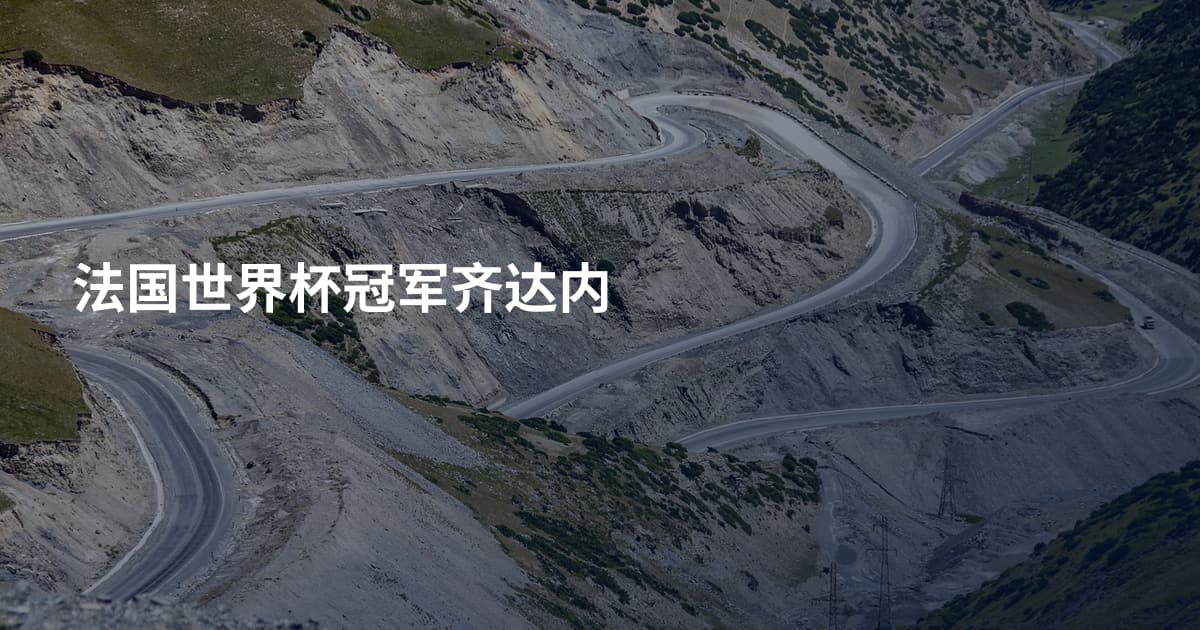 法国世界杯冠军齐达内